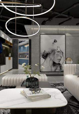 �׸���˹• INSϵ����Ʒ�|(zh��)����ē�(d��n)��(d��ng)���b��Ч���D